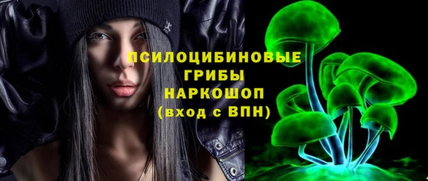 соль ск Верхнеуральск