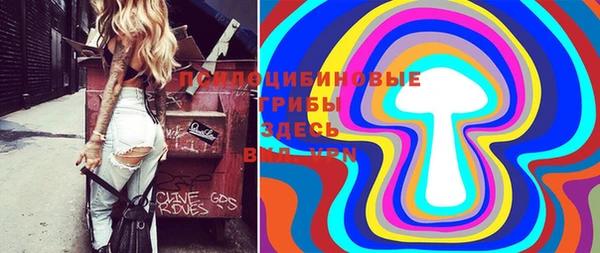 соль ск Верхнеуральск