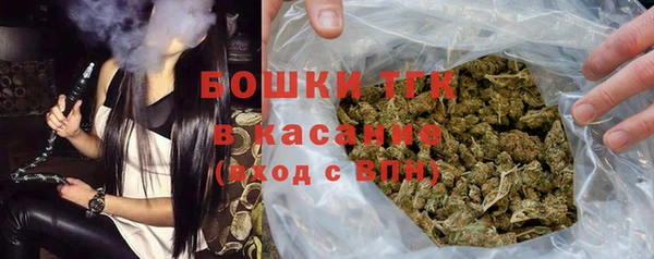 индика Волосово