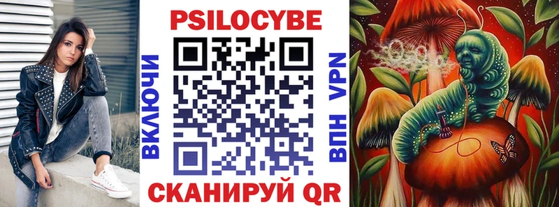 Галлюциногенные грибы Psilocybe  Купить где  Пласт 